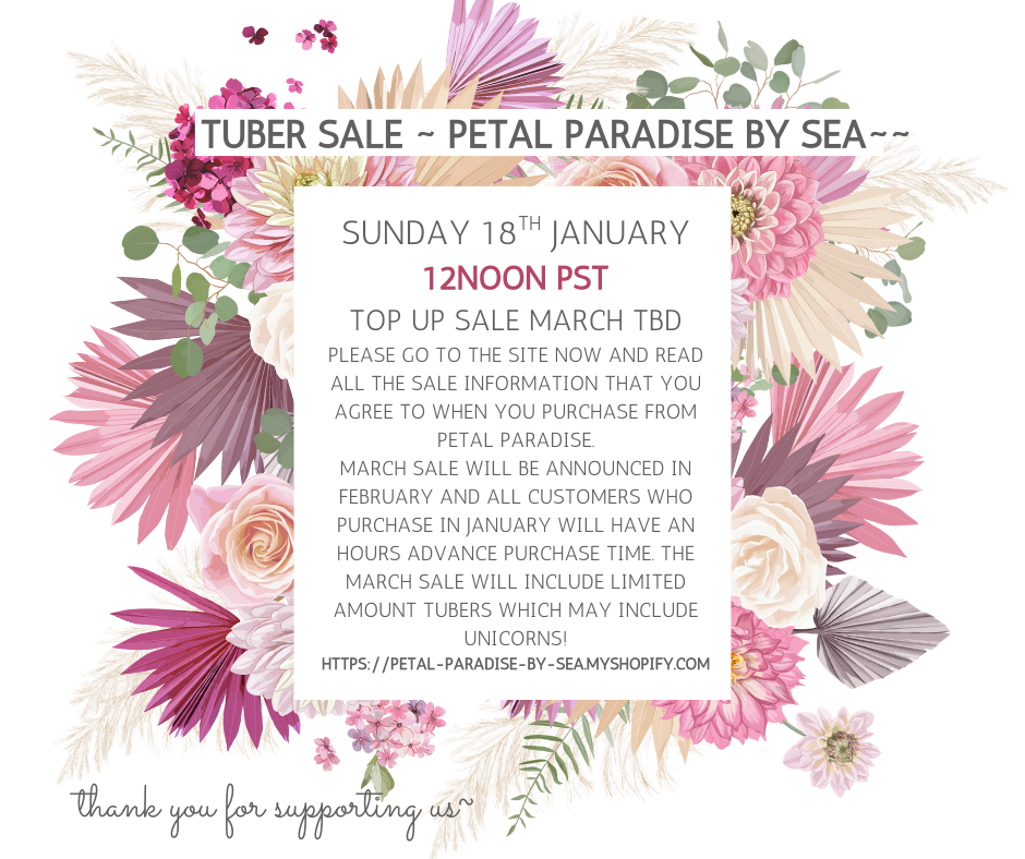 *** 1A JANUARY WINTER SALE!   OPENS 12noon PST SUNDAY JANUARY18, 2026